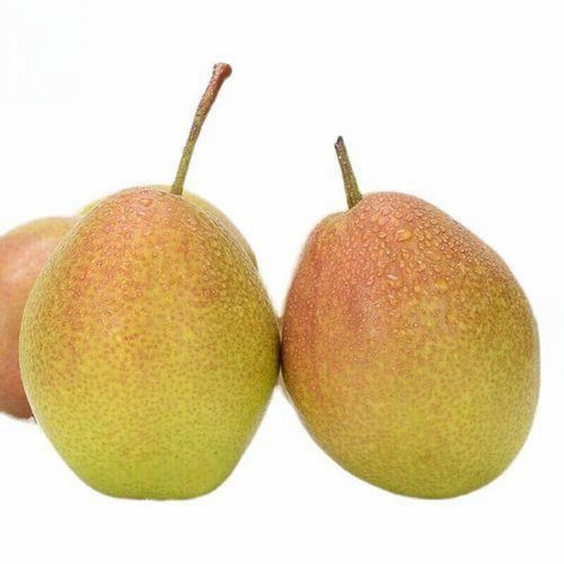 初春時(shí)節(jié)如何減衣不易感冒？早春