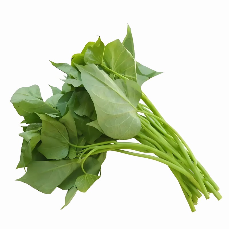 春分時(shí)節(jié)：減衣不宜過早起居應(yīng)晚睡早起早春